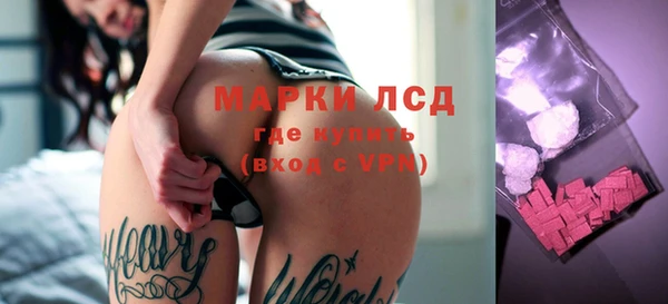 прущий лед Алзамай