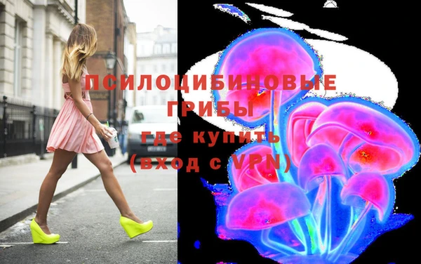 стафф Россошь