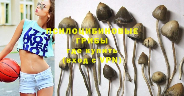 сатива Аркадак