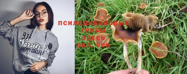 метамфетамин Алексеевка