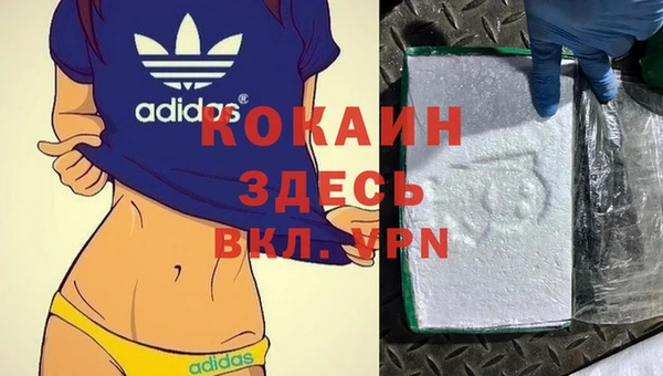 стаф Арсеньев