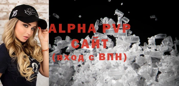 стаф Арсеньев