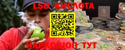 сатива Кинель