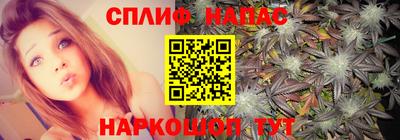 сатива Кинель
