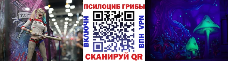 мега как войти  Светлоград  Галлюциногенные грибы Cubensis 