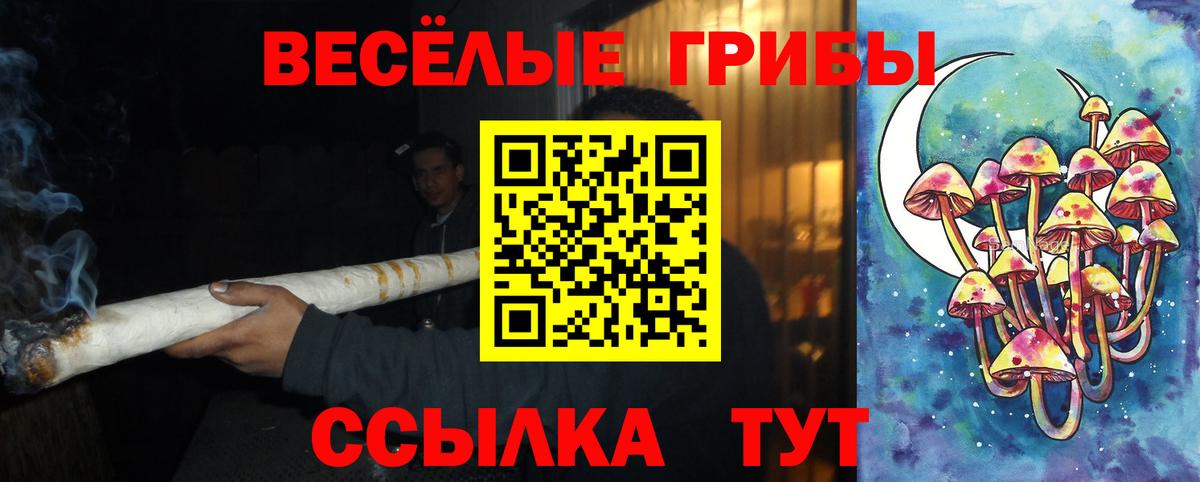 Светлоград  Галлюциногенные грибы Psilocybe  Вход с VPN 